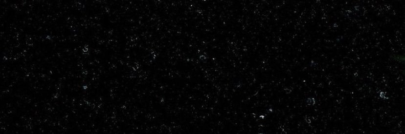 daniellenbe's profile banner image