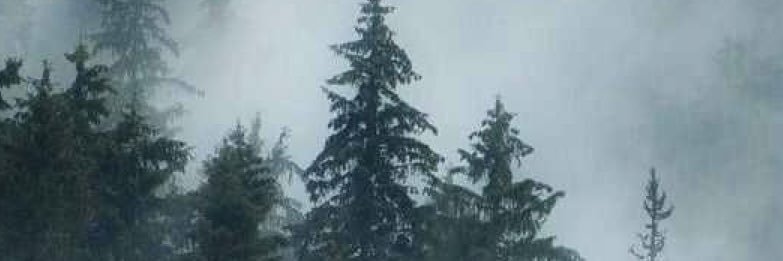 mel_2719's profile banner image