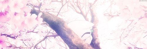 CitrusKara's profile banner image