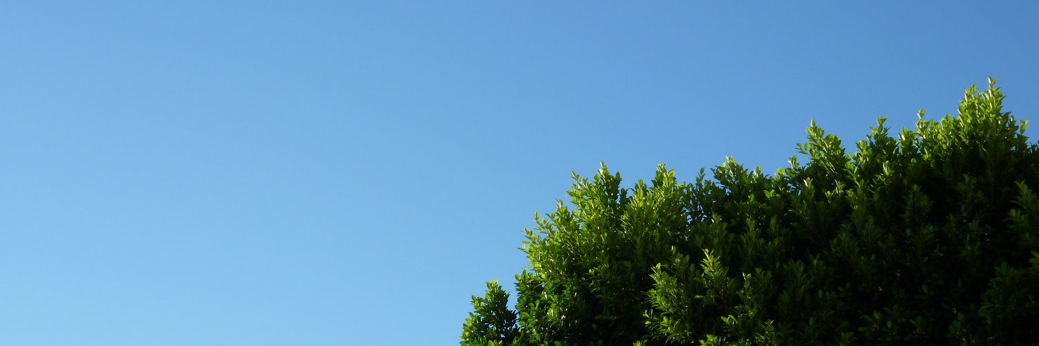 IAT banner