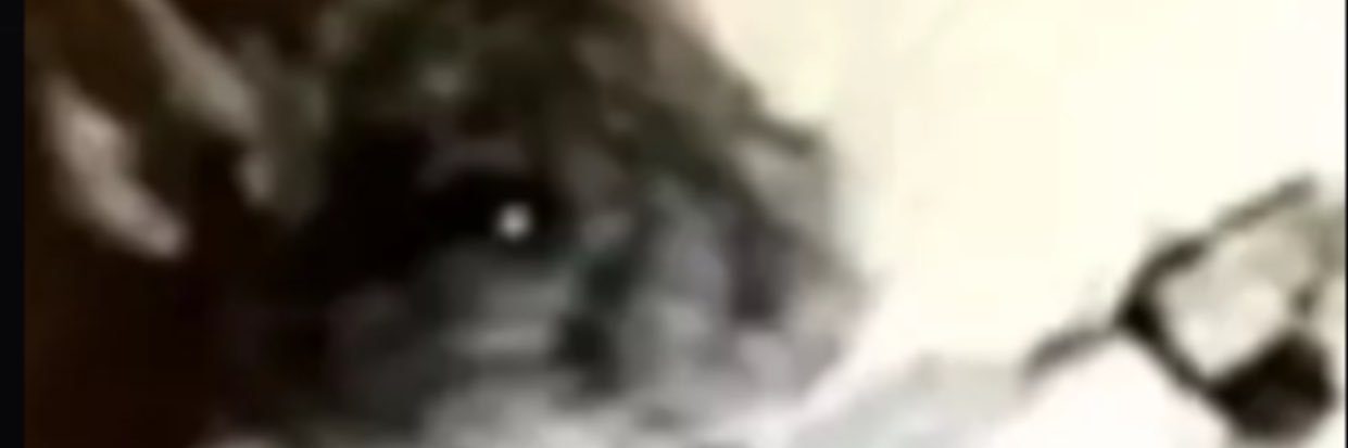 LeCooly's profile banner image