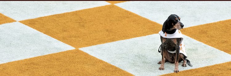 Sheleytyler's profile banner image