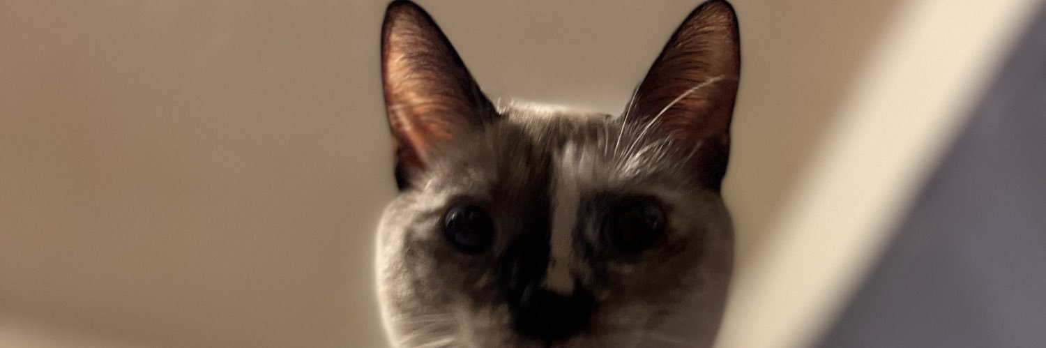 sebxtivn's profile banner image