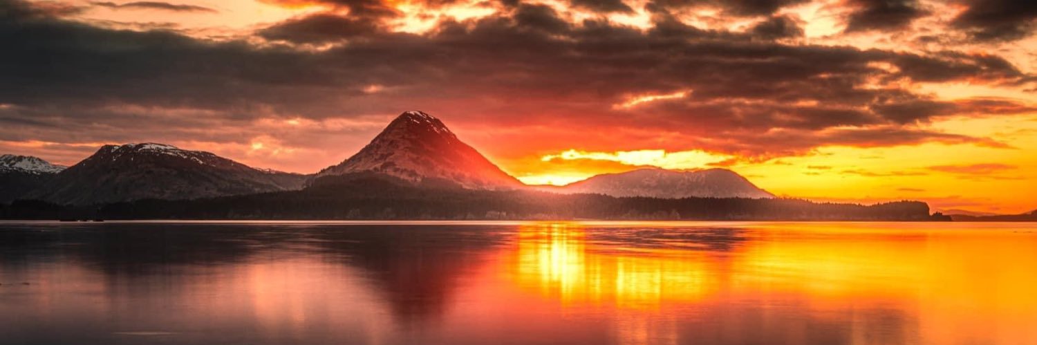 tannerjene196's profile banner image