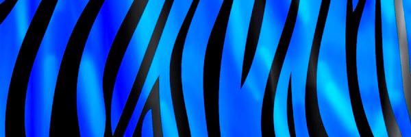 CMSMetroSchool Profile Banner