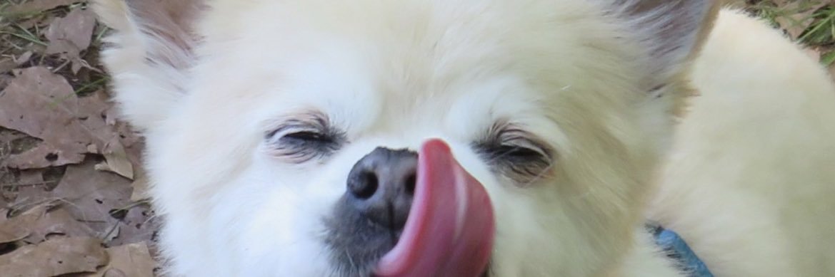 nobomcmulln's profile banner image