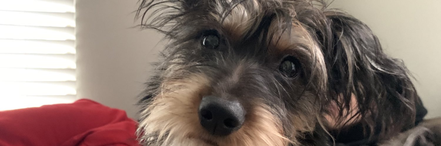 _kaatherineee's profile banner image