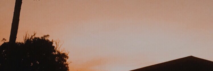 a_vvari's profile banner image