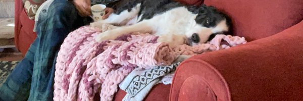 indigojackal Profile Banner