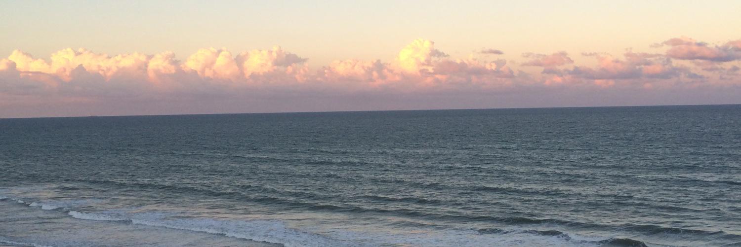 ali_cat5765's profile banner image