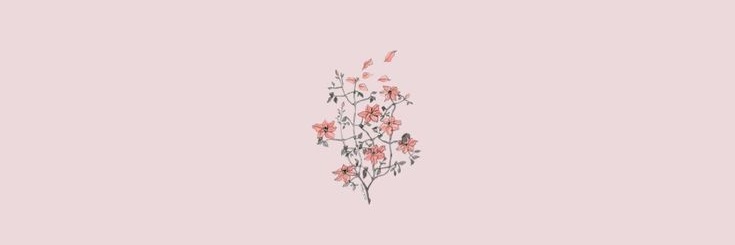 hoshistrys's profile banner image