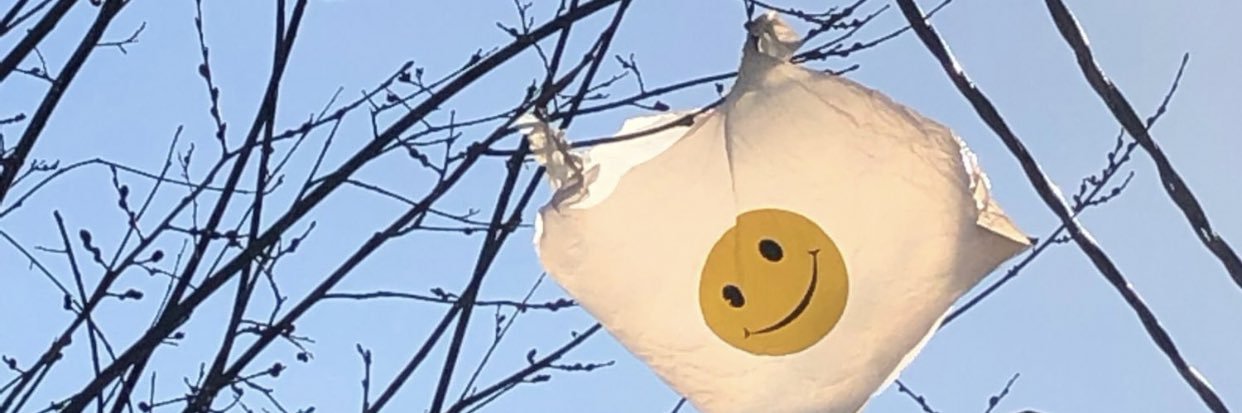 iallanaa's profile banner image