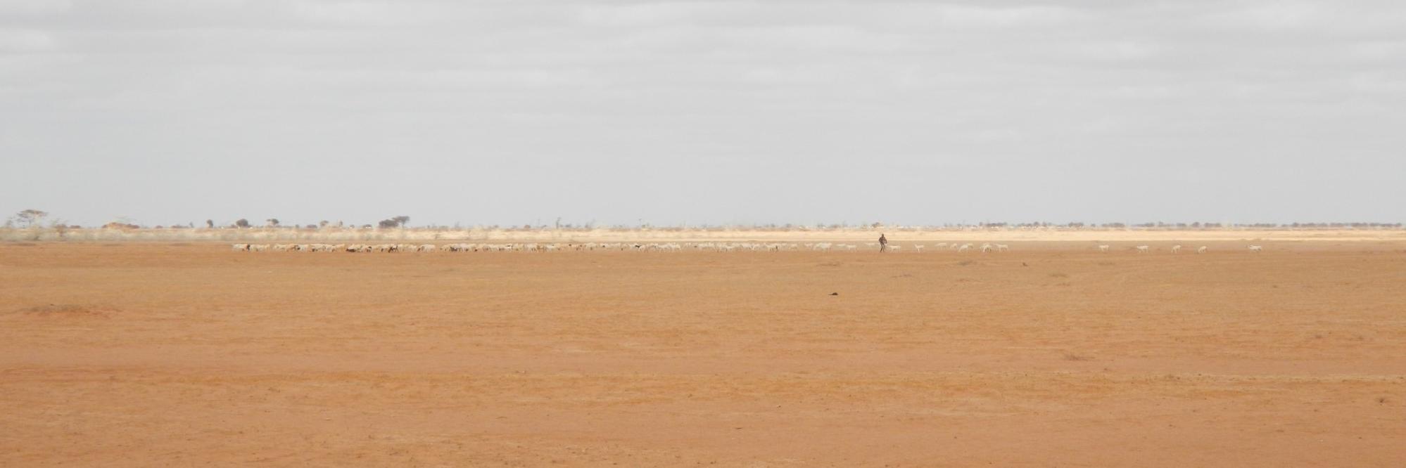 Nathan Jensen banner