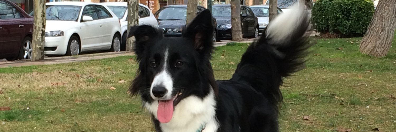 beibeus's profile banner image