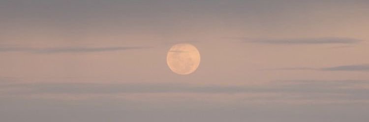 nuumeropi's profile banner image