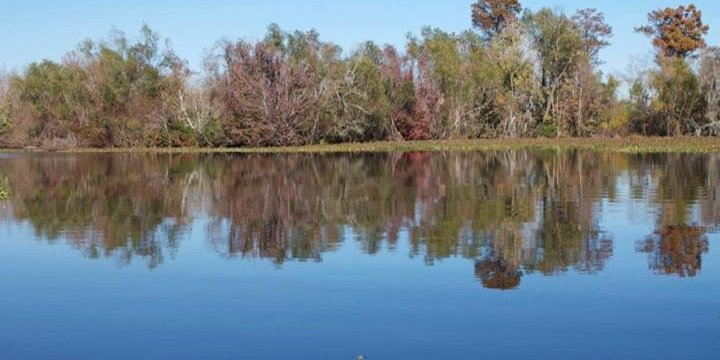 RIVERBENDMOM's profile banner image