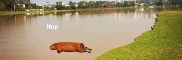 Peacheserratica Profile Banner