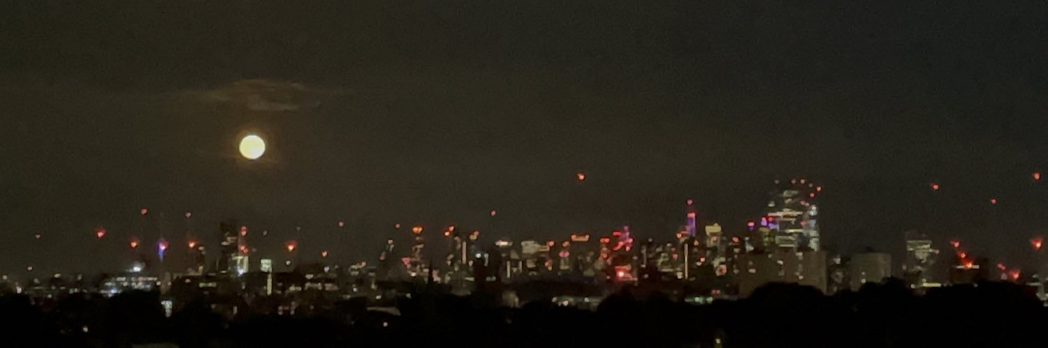 cinnamoonzx's profile banner image