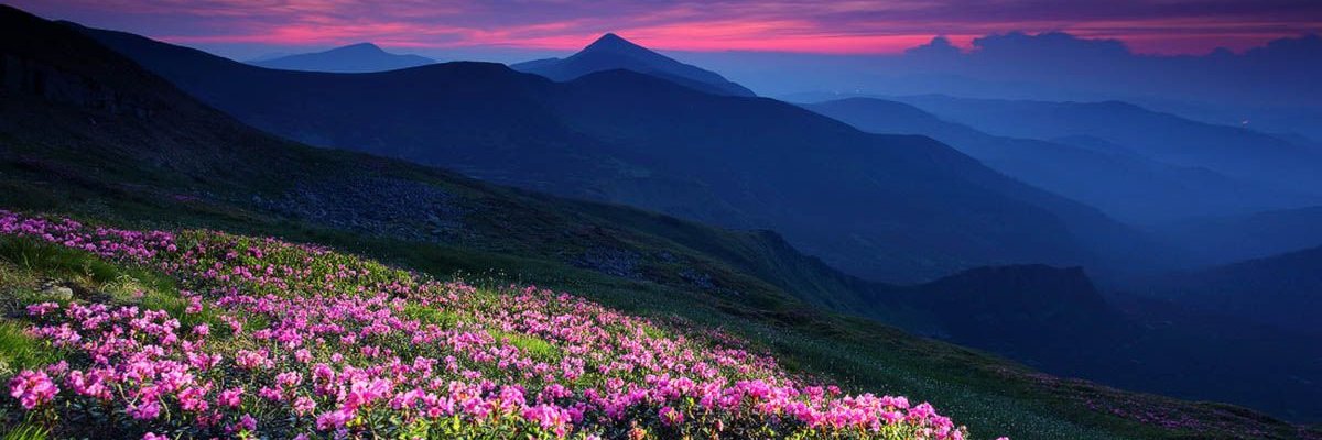 VaskoGoodWeb's profile banner image