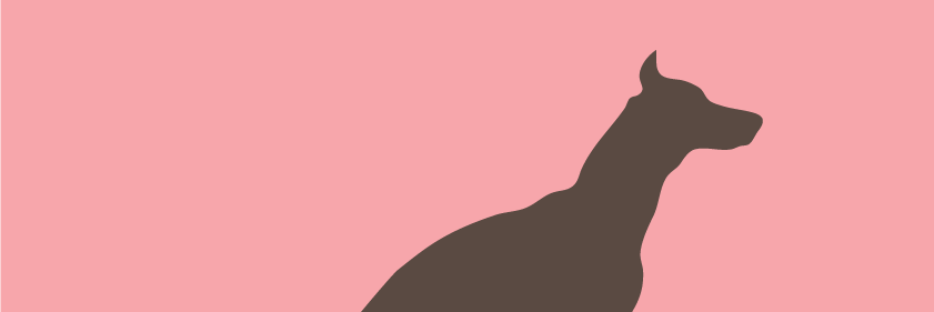 jimiborg's profile banner image