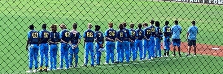 St.Louis Sting Baseball/Now Gashouse Baseball banner