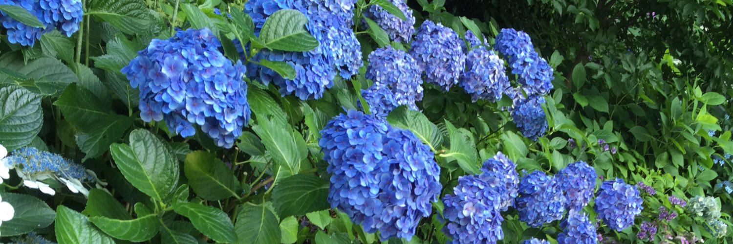 Takkiii_com's profile banner image
