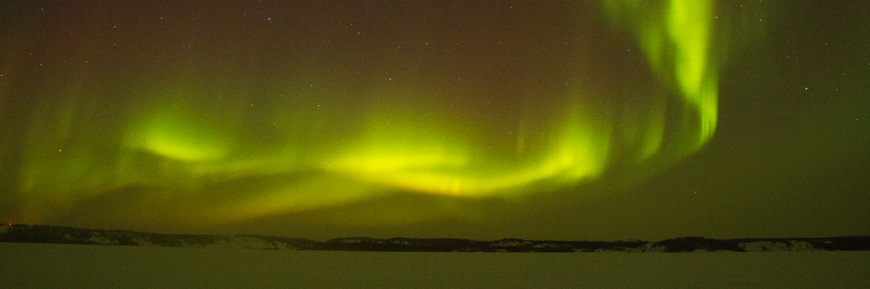 Luke Gibson 🇨🇦 banner