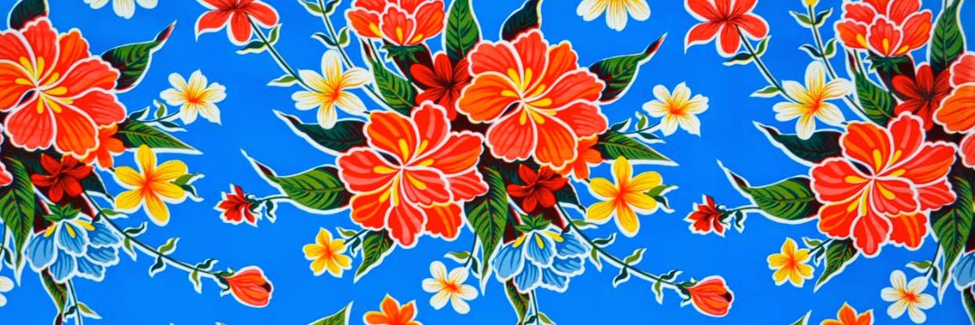 Sofía banner