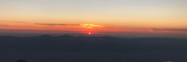 87lbofbees Profile Banner