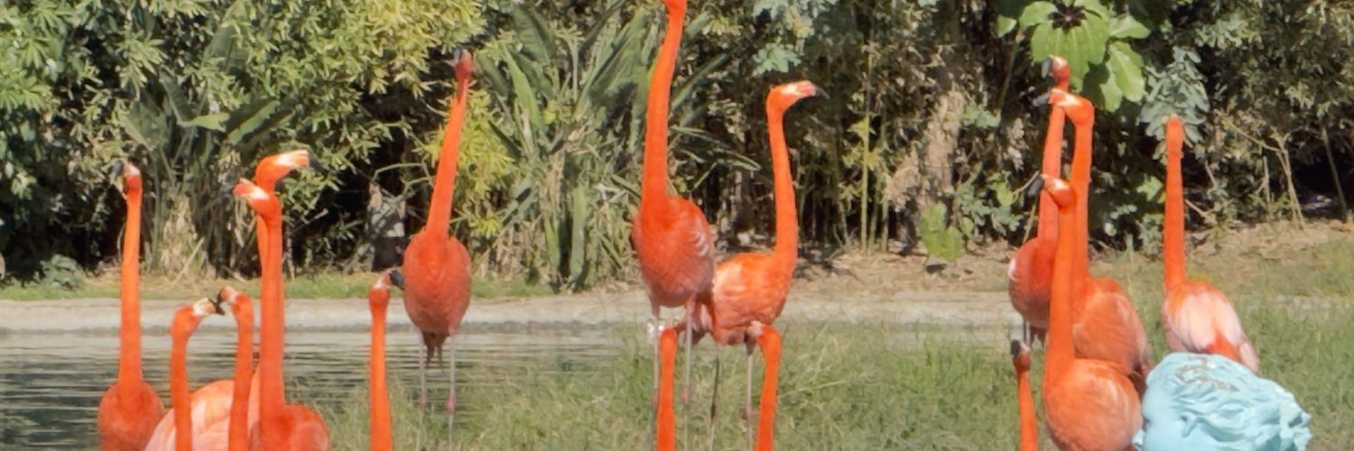 wisko3705's profile banner image