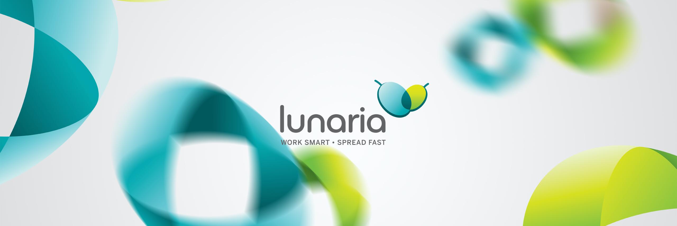 LunariaTeam's profile banner image