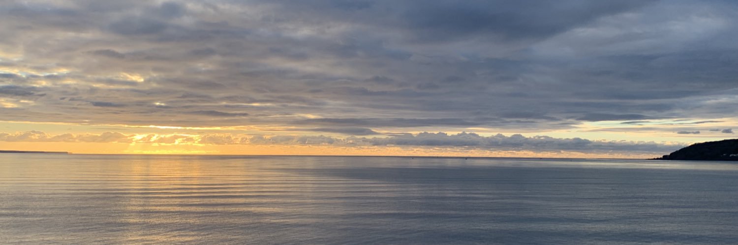 Cllr. Will Elliott banner