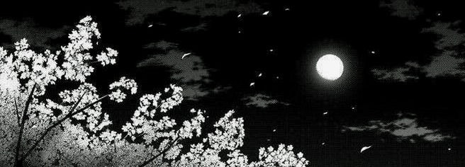 doelunaaa's profile banner image
