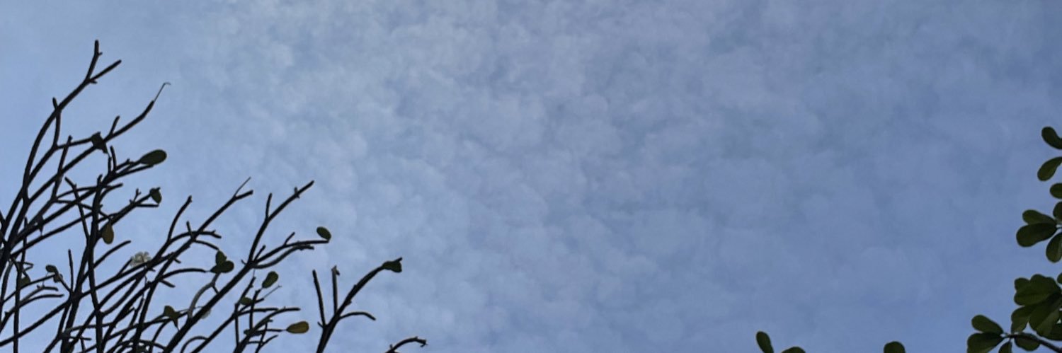 💚🦖เดฟหมวย🦖💚 banner