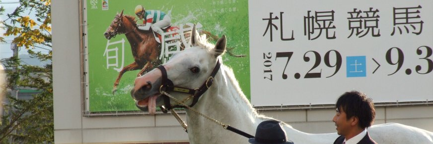 umamarikom's profile banner image
