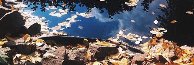 crazymax97's profile banner image