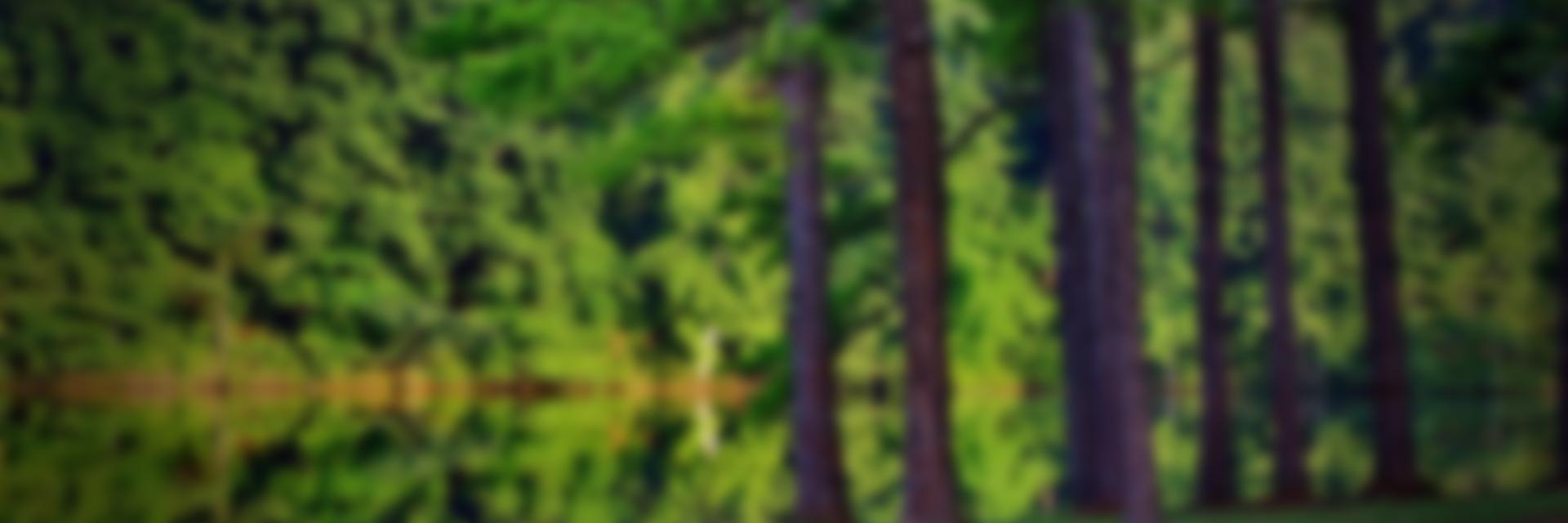 CaudexApp's profile banner image