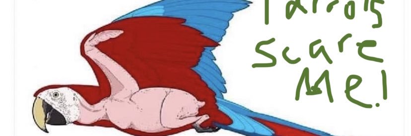 CallOfBooties's profile banner image