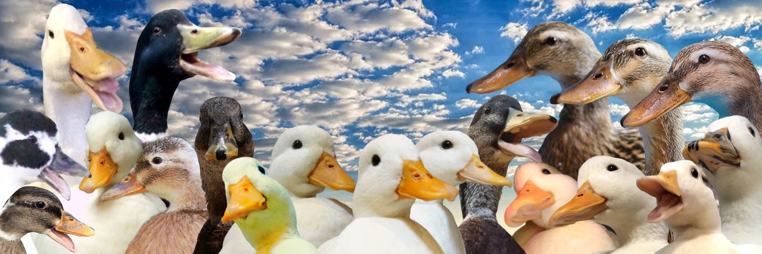 のれとニーべ隊長 banner