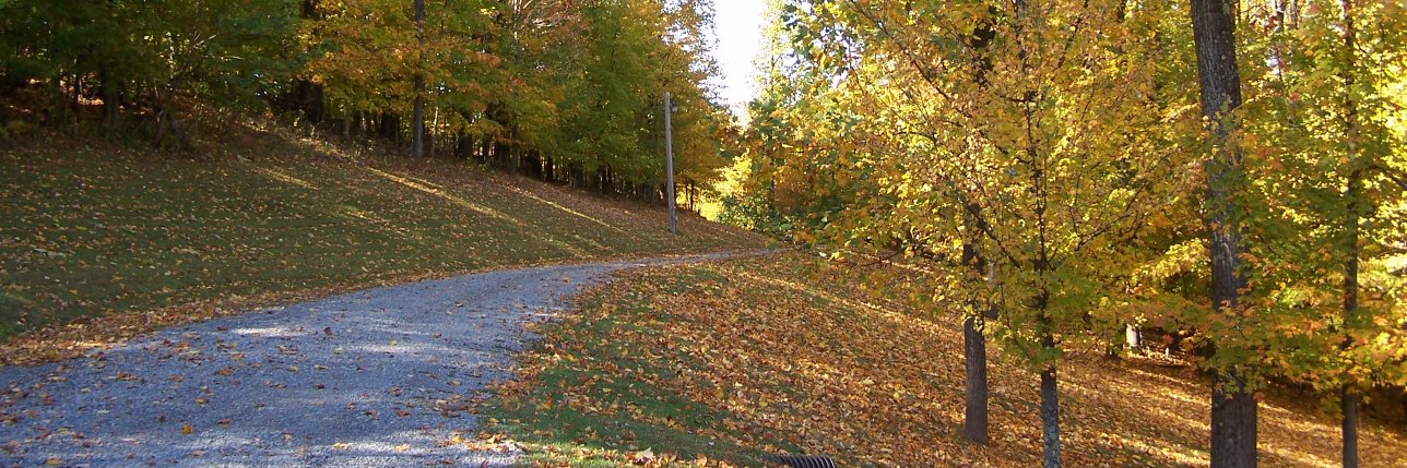 PhilMyer's profile banner image