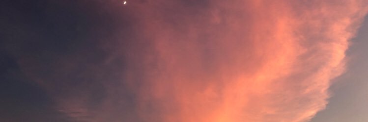 SarahWFin's profile banner image