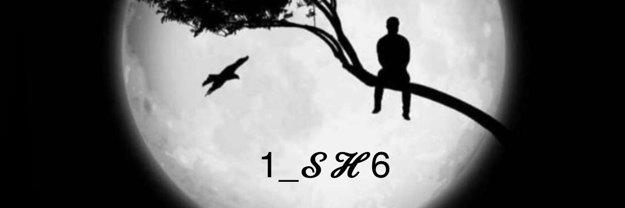 1_sh6's profile banner image