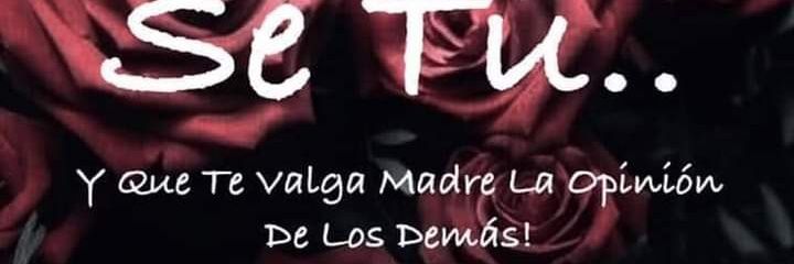beatrizsalalva's profile banner image