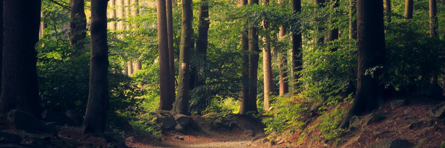 lmpdesign's profile banner image