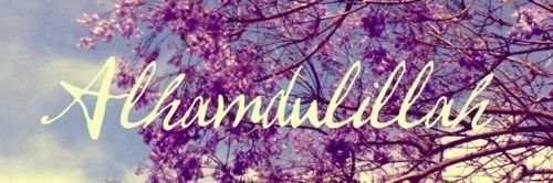psulliwb's profile banner image