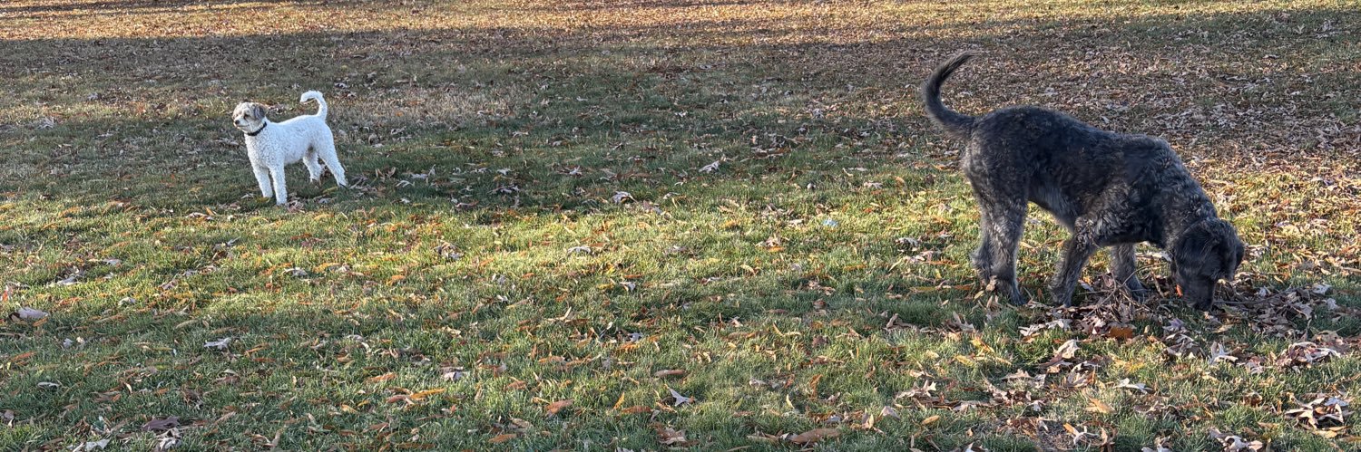 Cole__Worldd_'s profile banner image