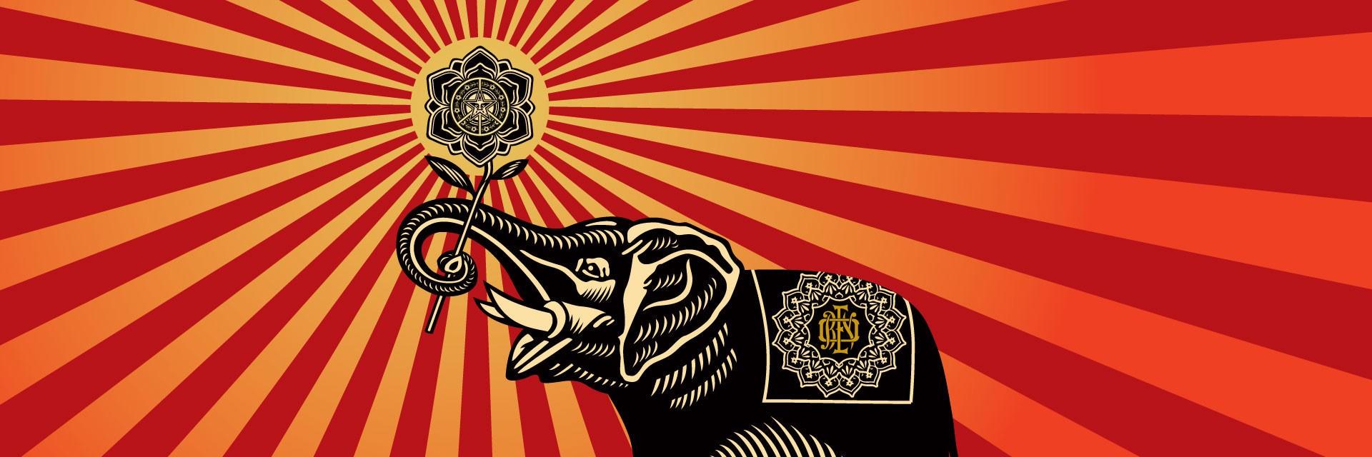corncobbwilson's profile banner image