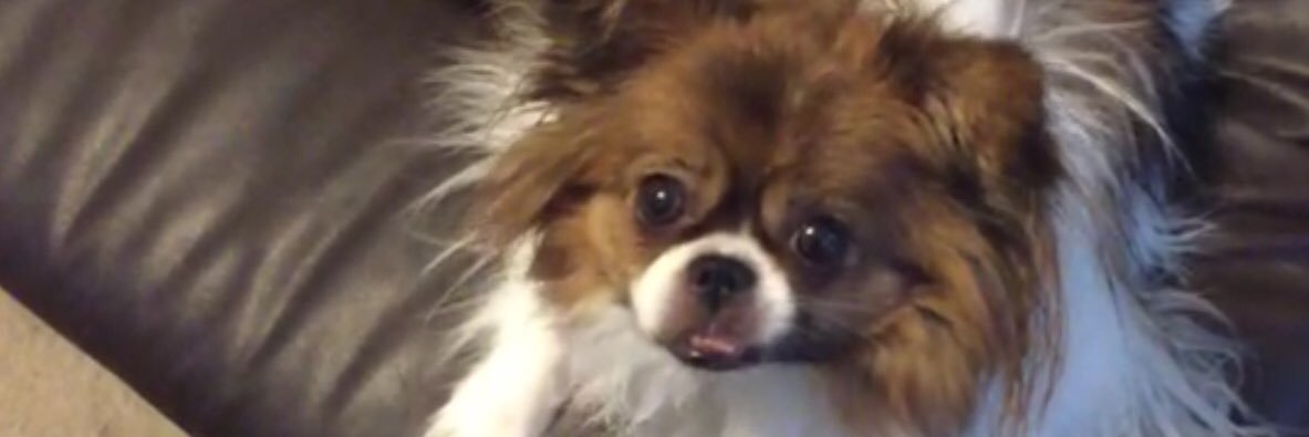 Maytreya34's profile banner image
