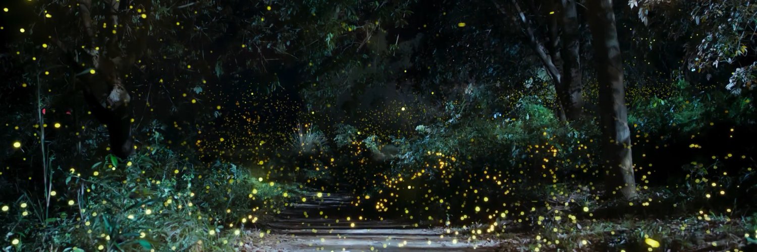 xiaofei200809's profile banner image