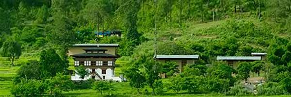 NatureBhutan's profile banner image